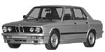 BMW E28 P174C Fault Code
