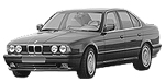 BMW E34 P174C Fault Code