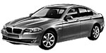 BMW F10 P174C Fault Code